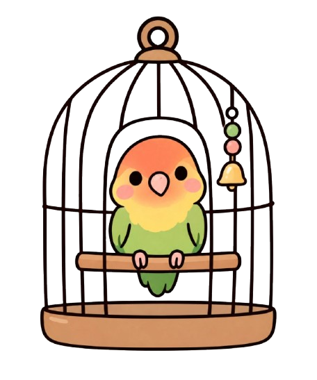 cage oiseau