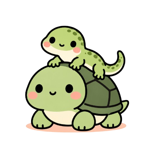 tortue